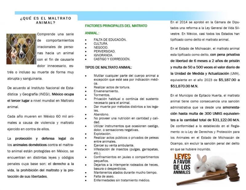 Pongamos Fin al Maltrato Animal